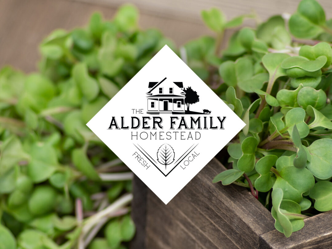 Brand identity design for The Alder Family Homestead by The Alder Files