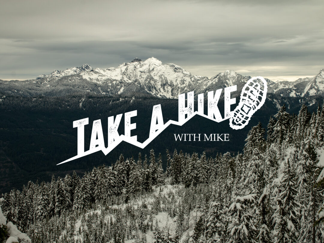 Brand identity design for Take a Hike with Mike YouTube channel by The Alder Files