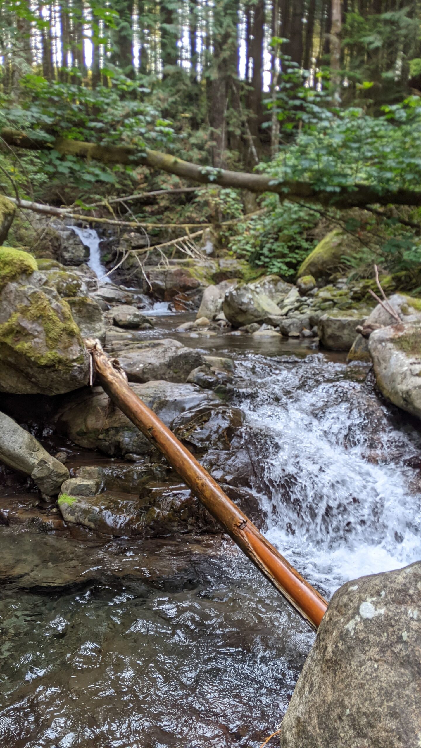Creek running over mossy granite with a peeled hardwood pole crossing the frame