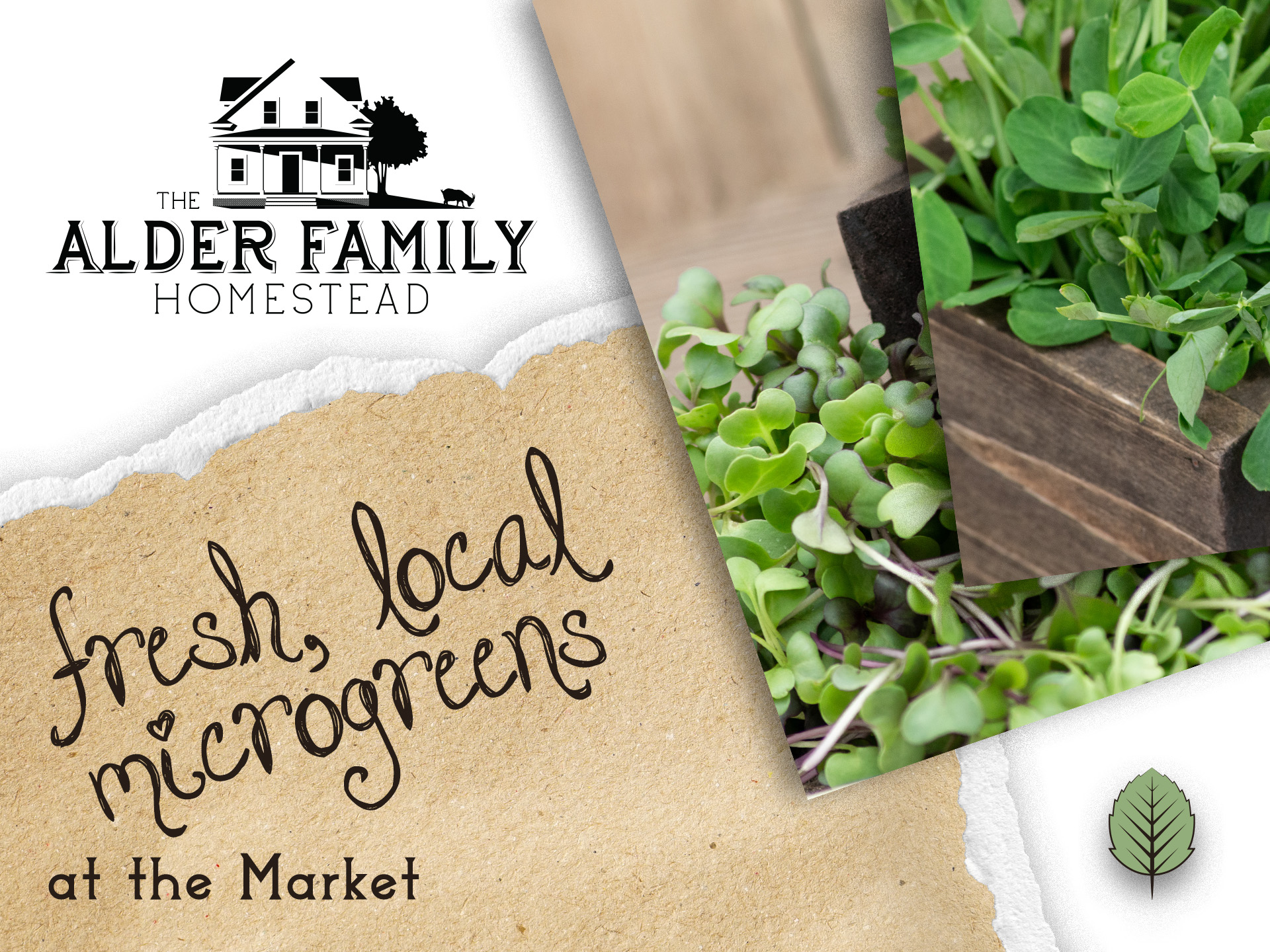 classic symmetrical craftsman style farmhouse, placeholder image for the Alder Family Homestead design elements section