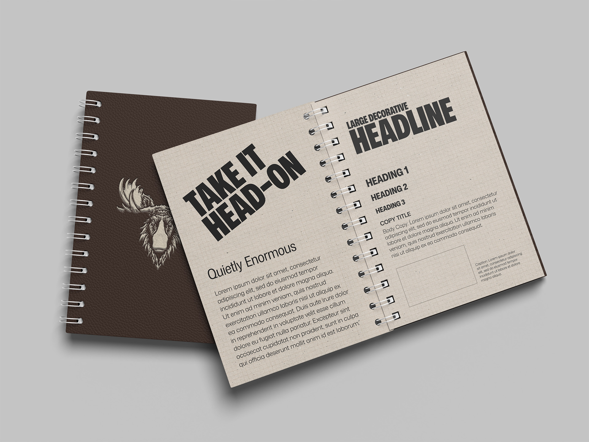 Moose Cola brand typography shown in a style guide mockup, featuring the logo wordmark script and headline type samples on a spiral notebook