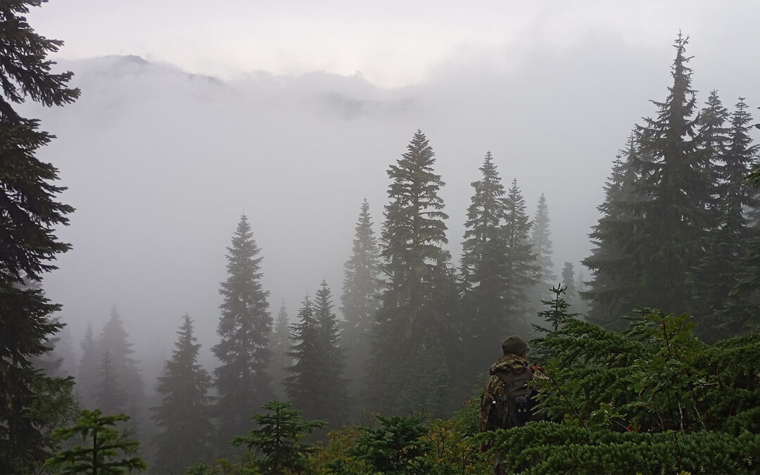 From the Field – Index, WA